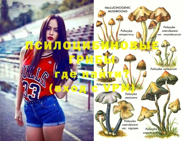 прущие крисы Алексин