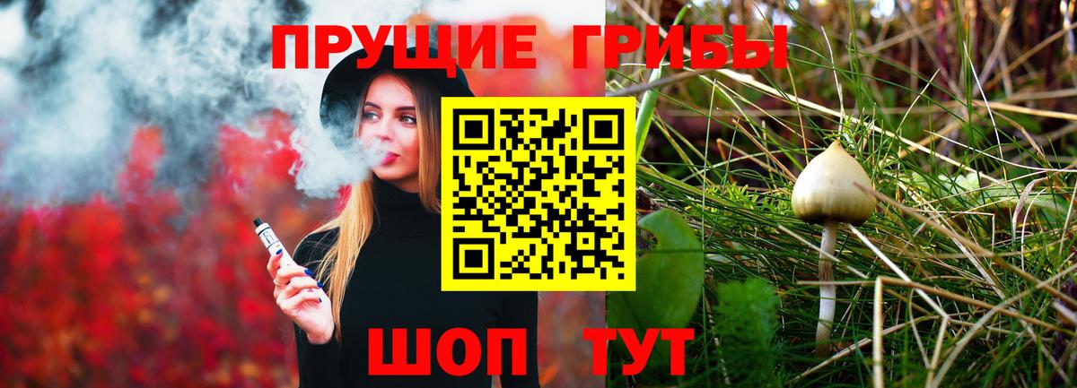 Псилоцибиновые грибы Psilocybe Павлово