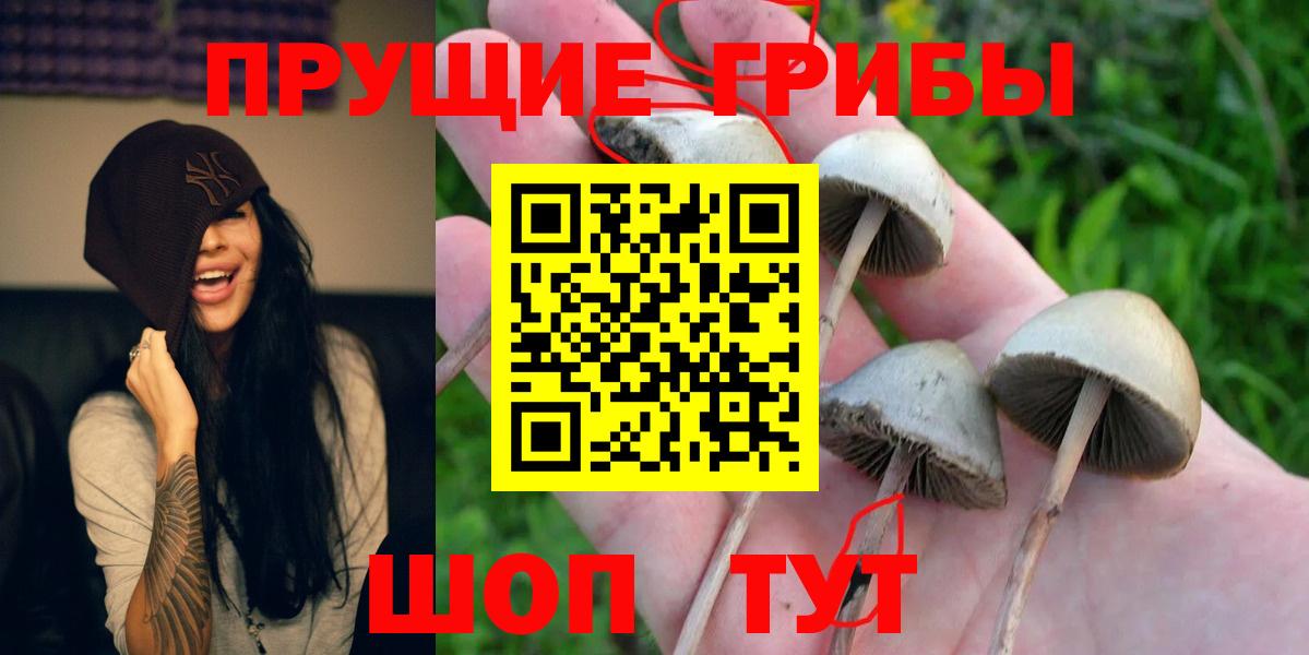 Псилоцибиновые грибы ЛСД  Вход с VPN  где найти   Галлюциногенные грибы Psilocybine cubensis  Павлово 